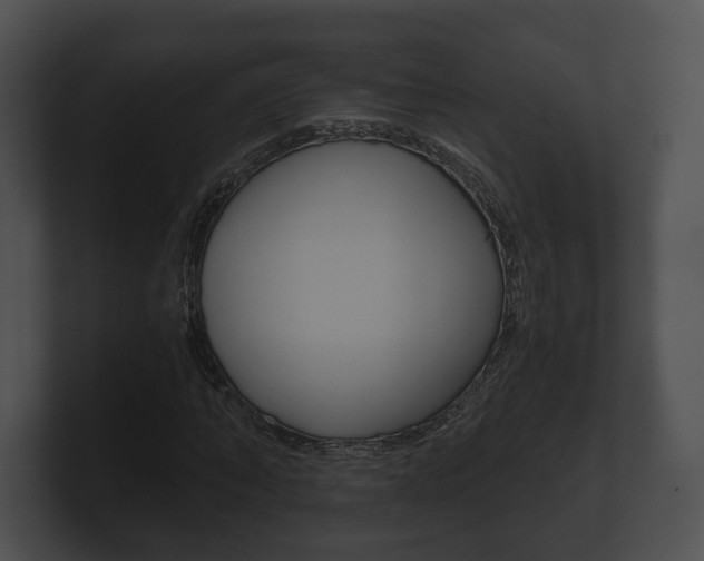 X0000100900870200806241028