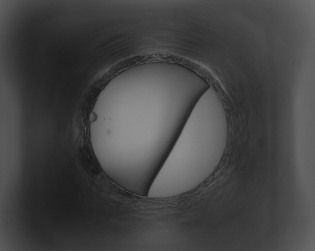 X0000100900871200806241028