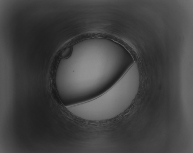 X0000100900872200806241028