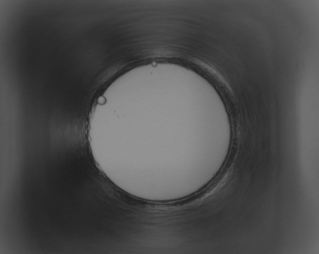 X0000100900873200806241028
