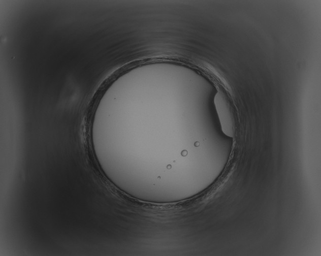 X0000100900875200806241028
