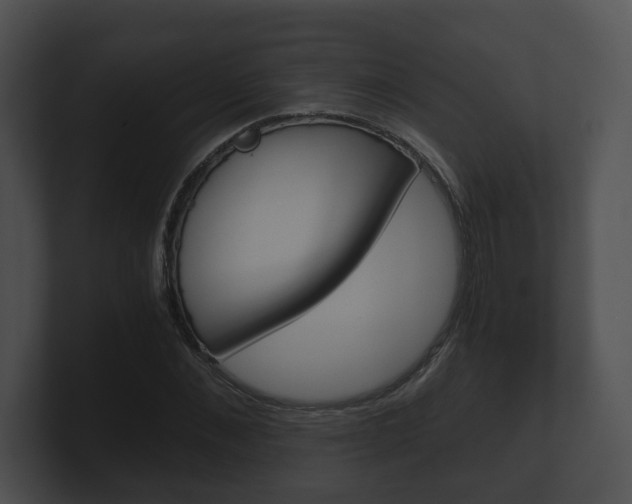 X0000100900876200806241028