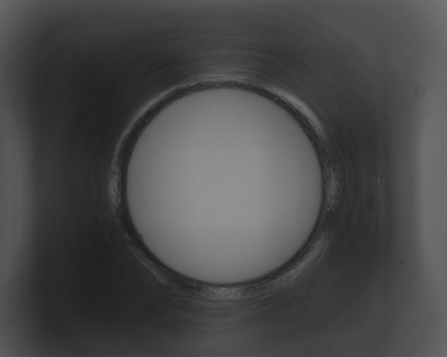 X0000100900878200806241028