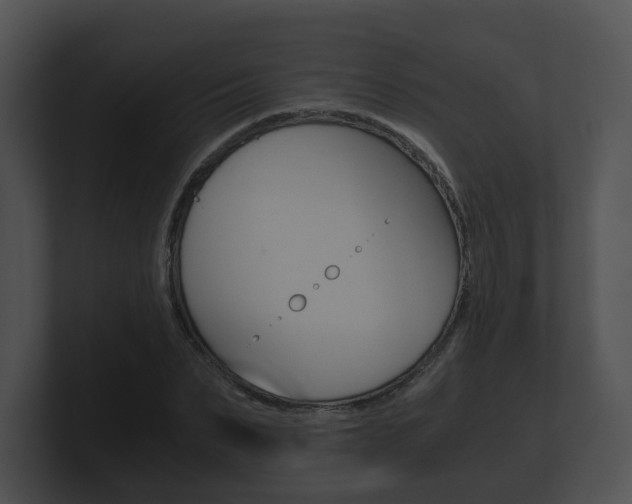 X0000100900879200806241028
