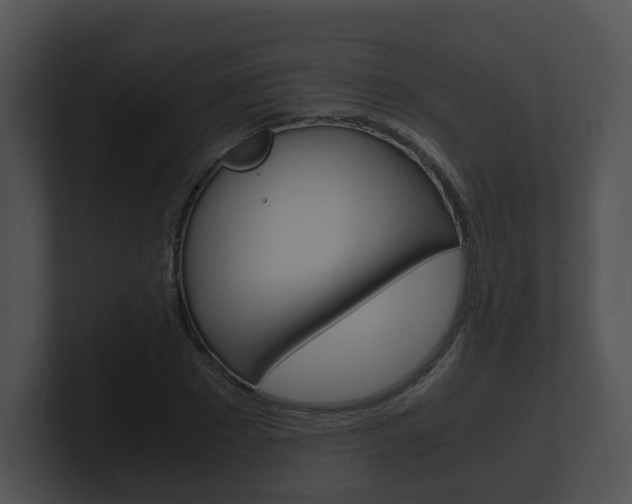 X0000100900881200806241028