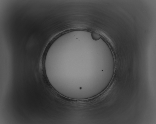 X0000100900883200806241028