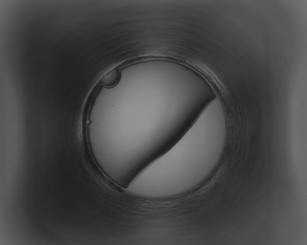 X0000100900884200806241028