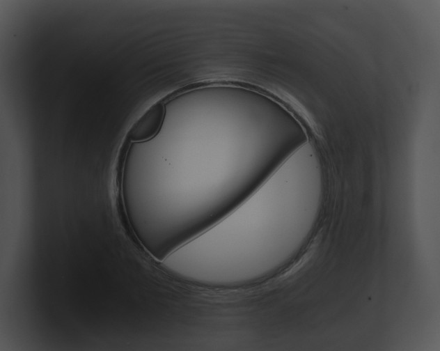X0000100900885200806241028