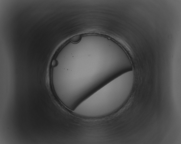 X0000100900888200806241028