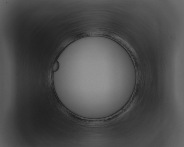 X0000100900889200806241028