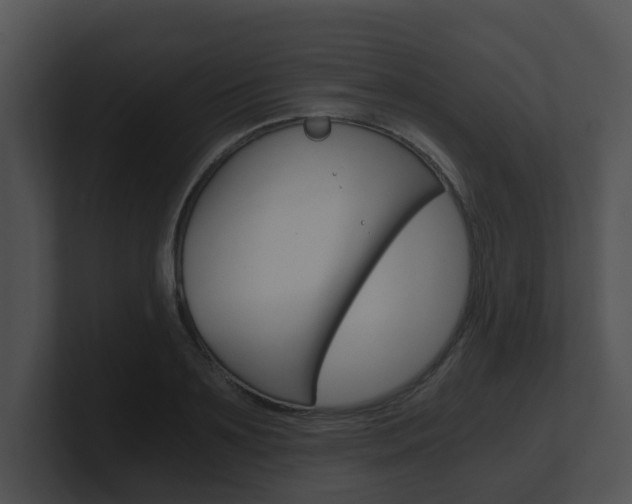 X0000100900891200806241028