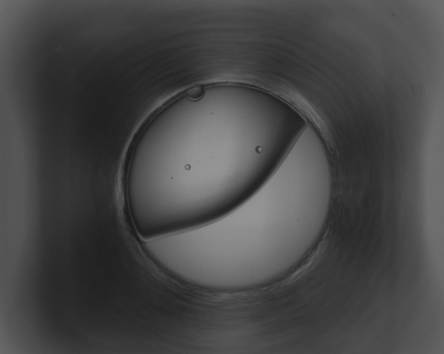 X0000100900892200806241028