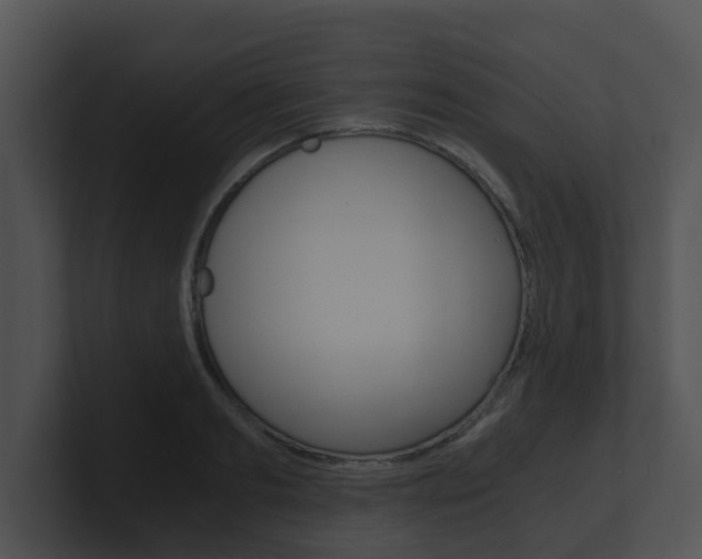 X0000100900893200806241028