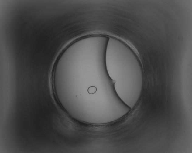 X0000100900895200806241028
