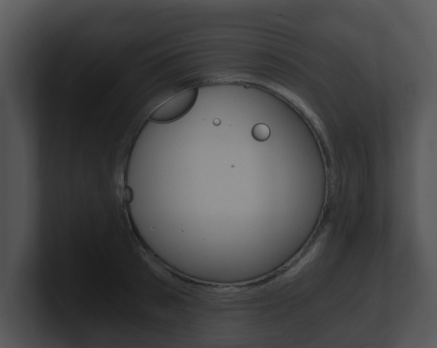 X0000100900897200806241028