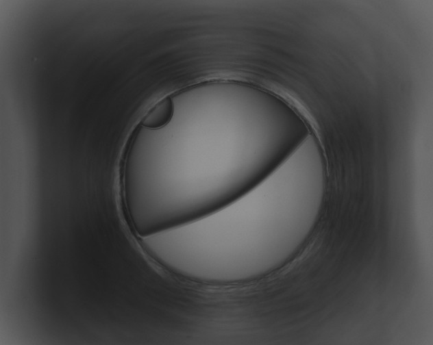 X0000100900898200806241028