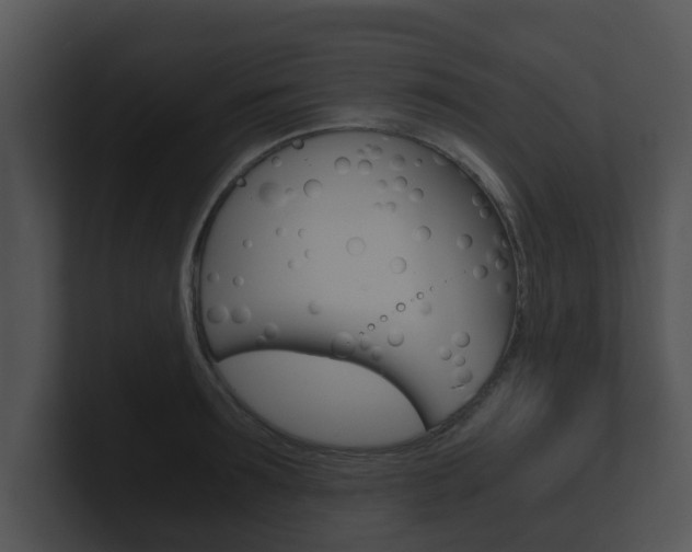 X0000100900899200806241028