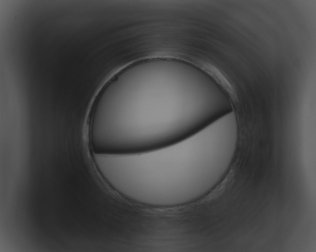 X0000100900900200806241028