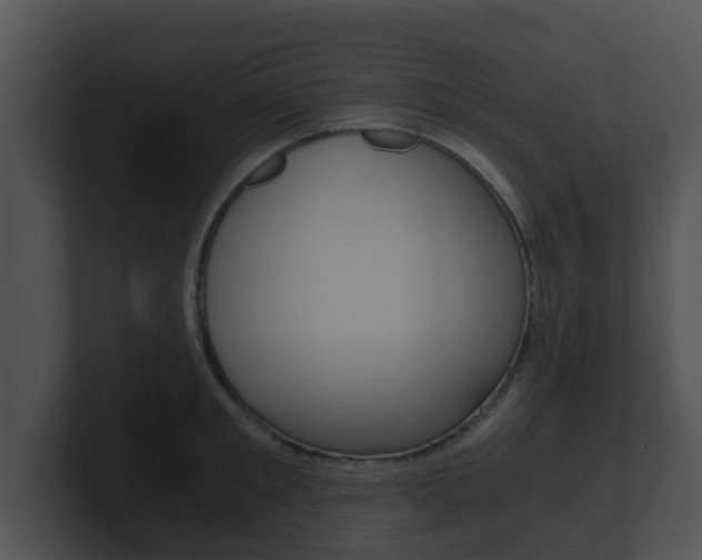 X0000100900901200806241028