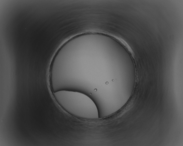X0000100900903200806241028