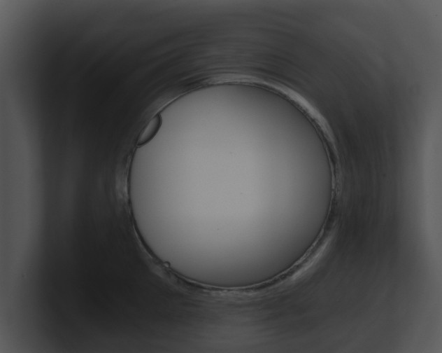 X0000100900905200806241028