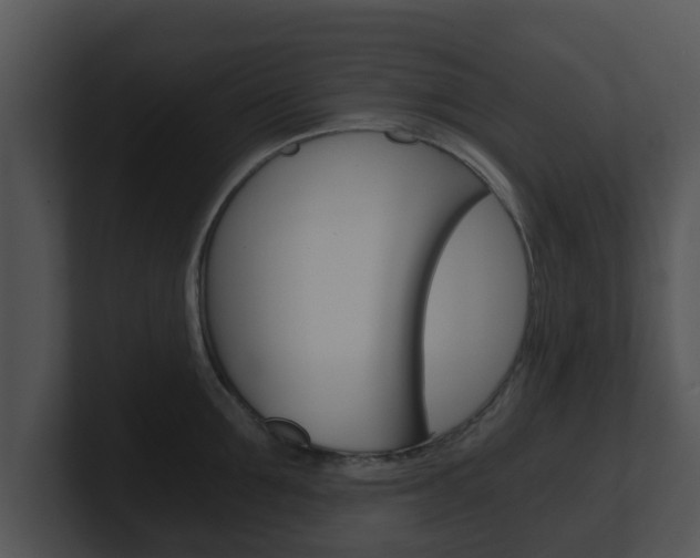 X0000100900907200806241028