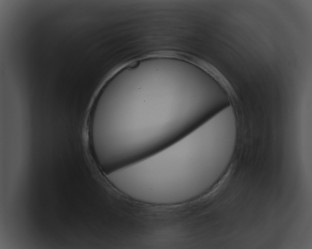 X0000100900908200806241028