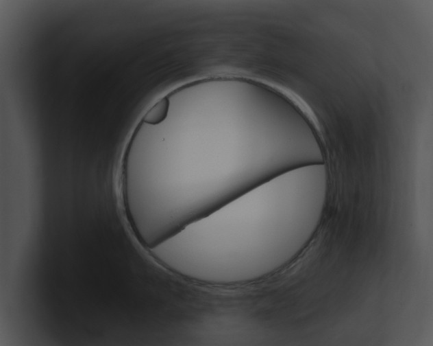 X0000100900911200806241028