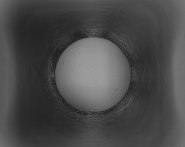 X0000100900913200806241027