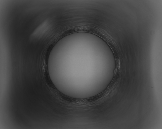 X0000100900915200806241027