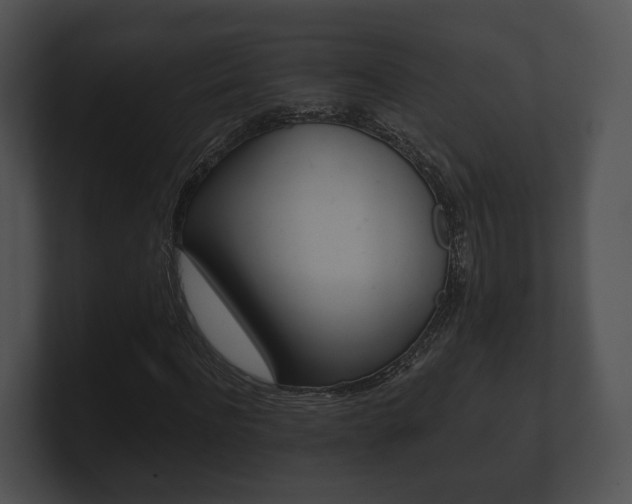 X0000100900916200806241027