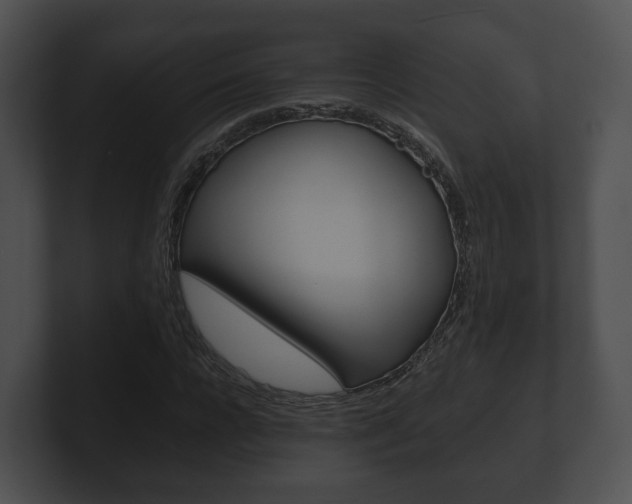 X0000100900920200806241027