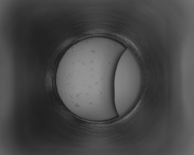 X0000100900921200806241027
