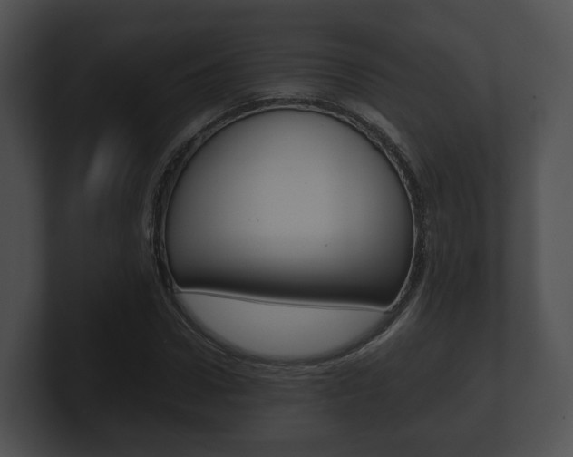 X0000100900922200806241027