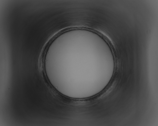 X0000100900925200806241027