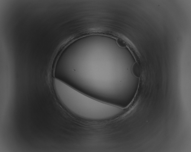 X0000100900930200806241027