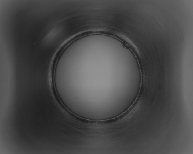 X0000100900935200806241027