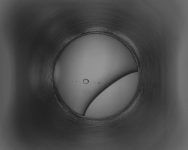 X0000100900937200806241027