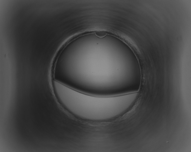 X0000100900942200806241027