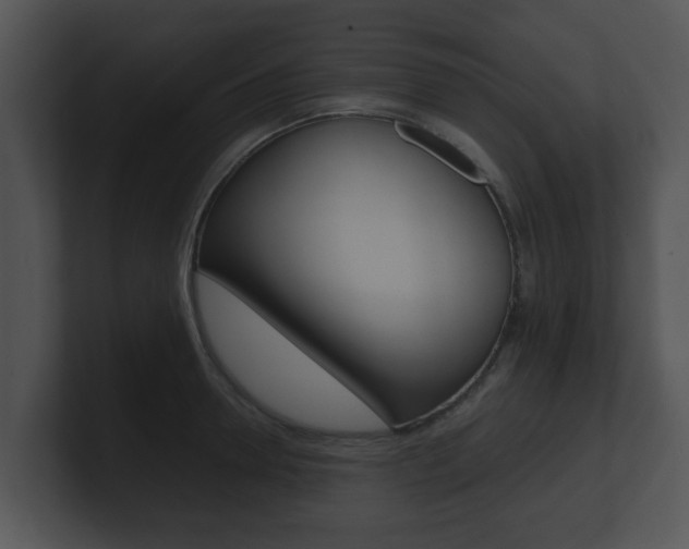 X0000100900946200806241027