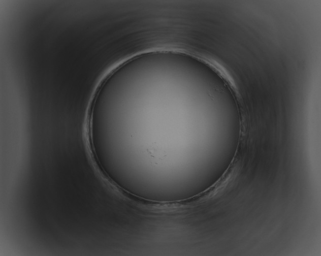 X0000100900952200806241027