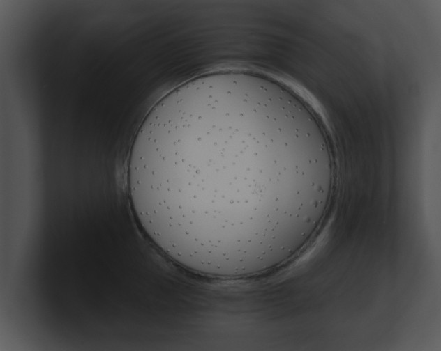 X0000100900953200806241027