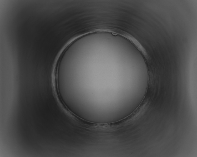 X0000100900955200806241028