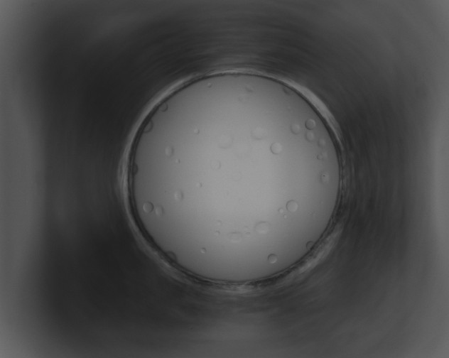 X0000100900957200806241028