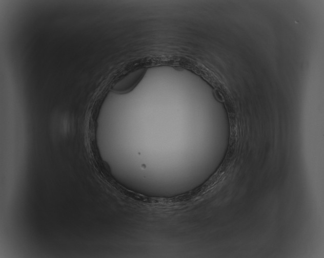 X0000100900961200806241027