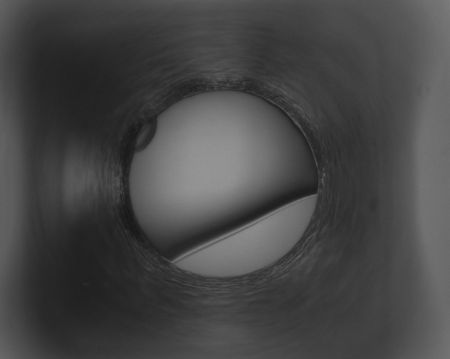 X0000100900963200806241027