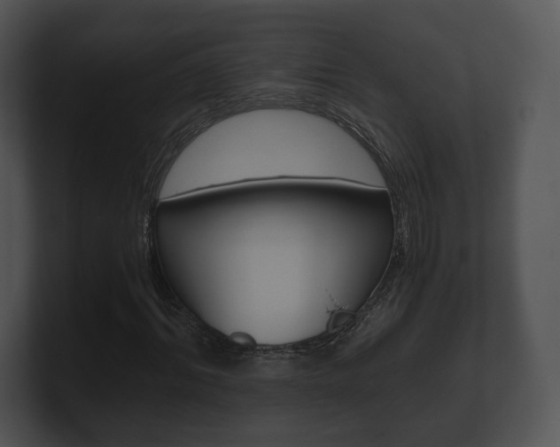 X0000100900964200806241027