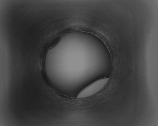 X0000100900965200806241027