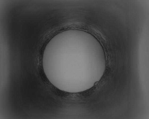 X0000100900966200806241027