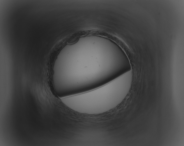 X0000100900967200806241027
